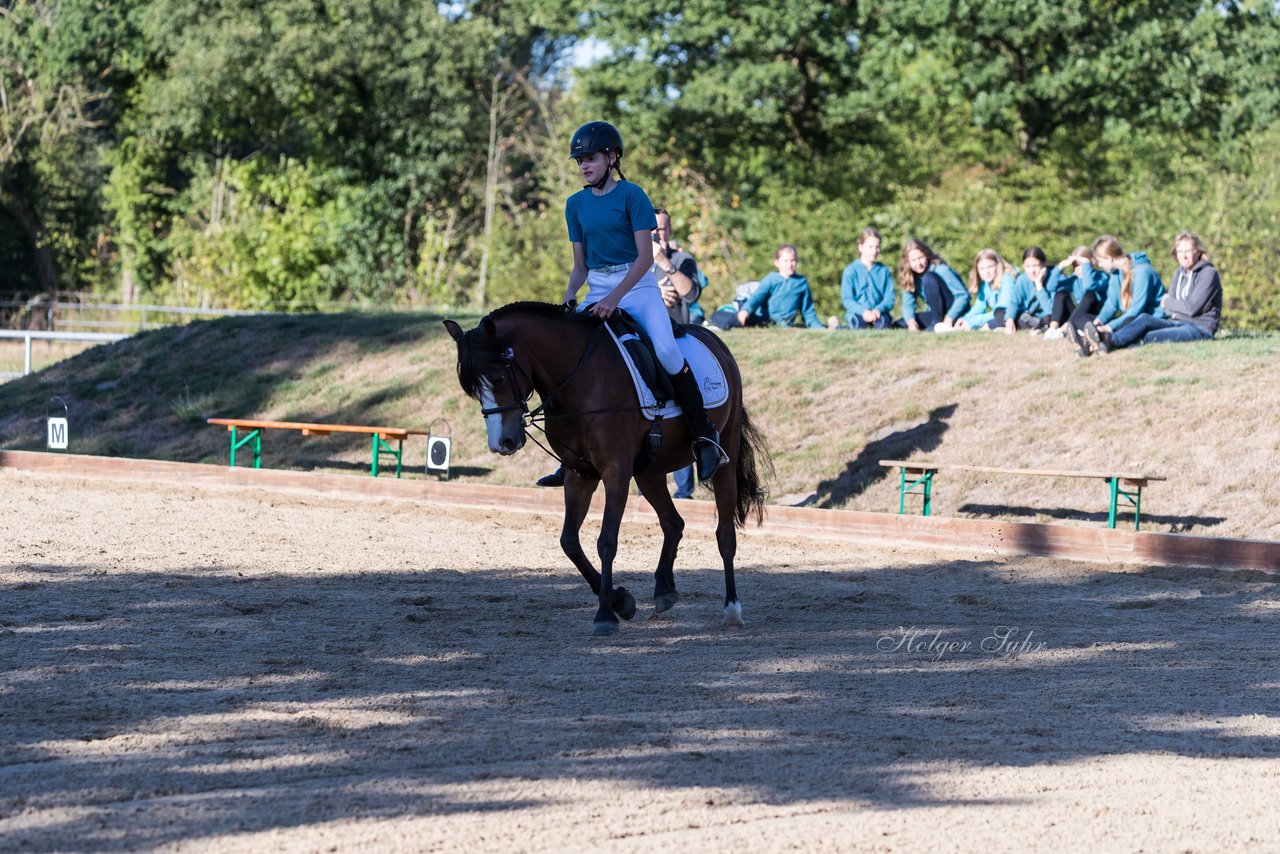 Bild 77 - Pony Akademie Turnier